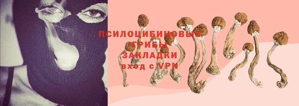 гидропоника Армянск