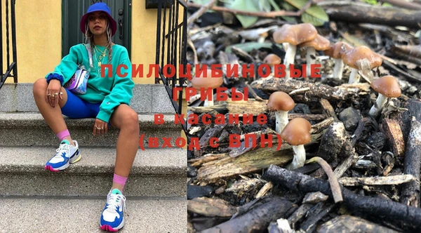 марки lsd Алексеевка