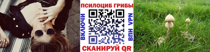 дарк нет Telegram  купить наркотик  Чебаркуль  Псилоцибиновые грибы Psilocybine cubensis 